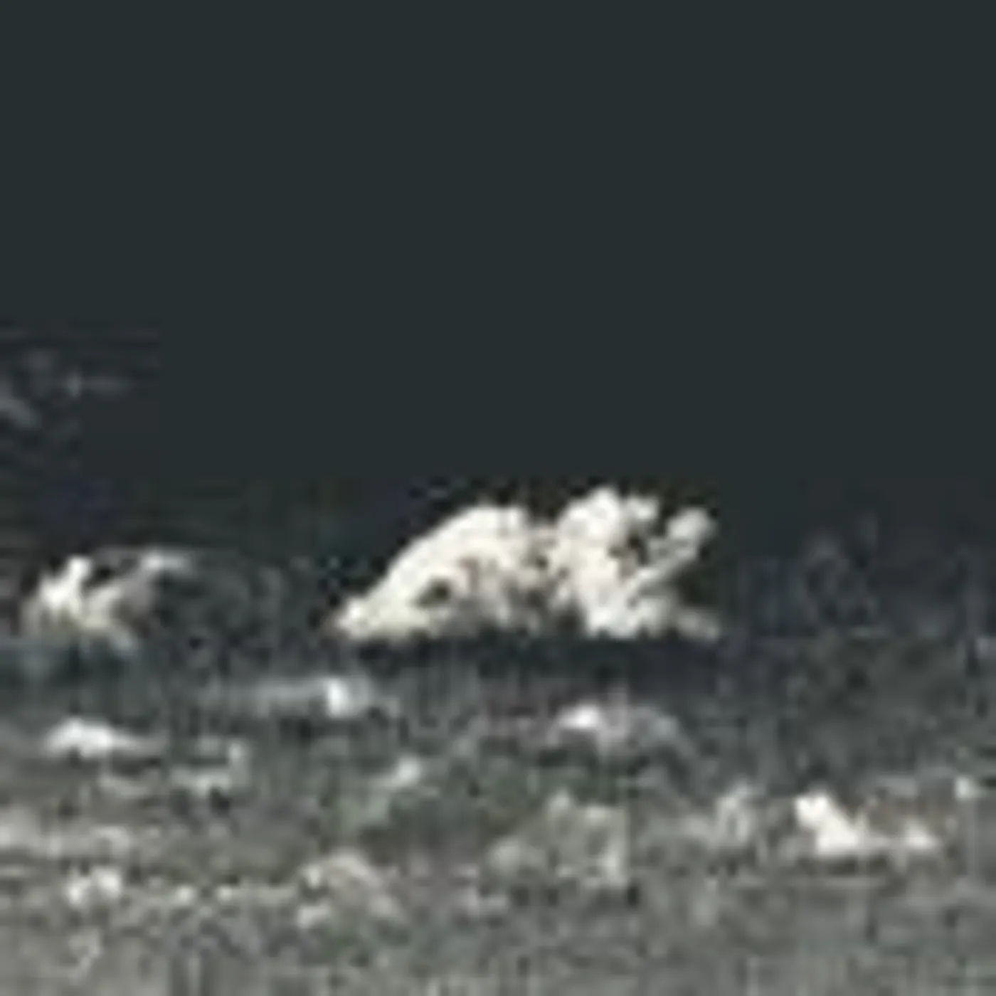 Particle Devotion Brand Page