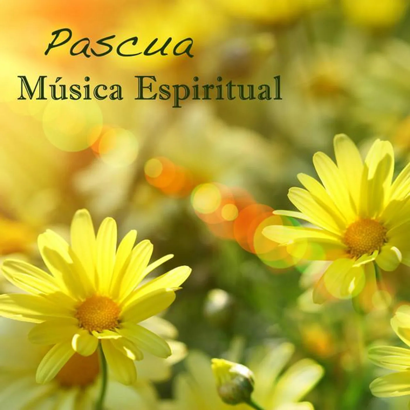 Pascua Duet Brand Page
