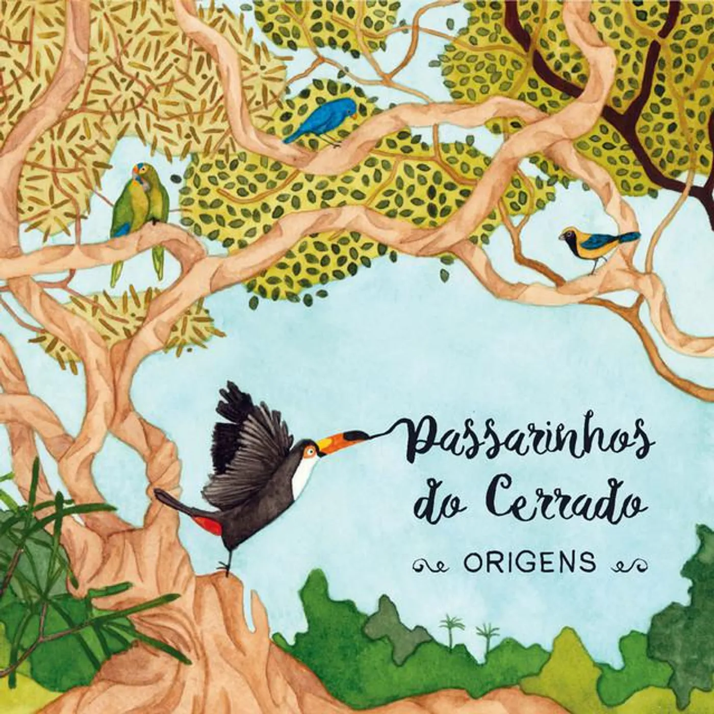 Passarinhos do Cerrado