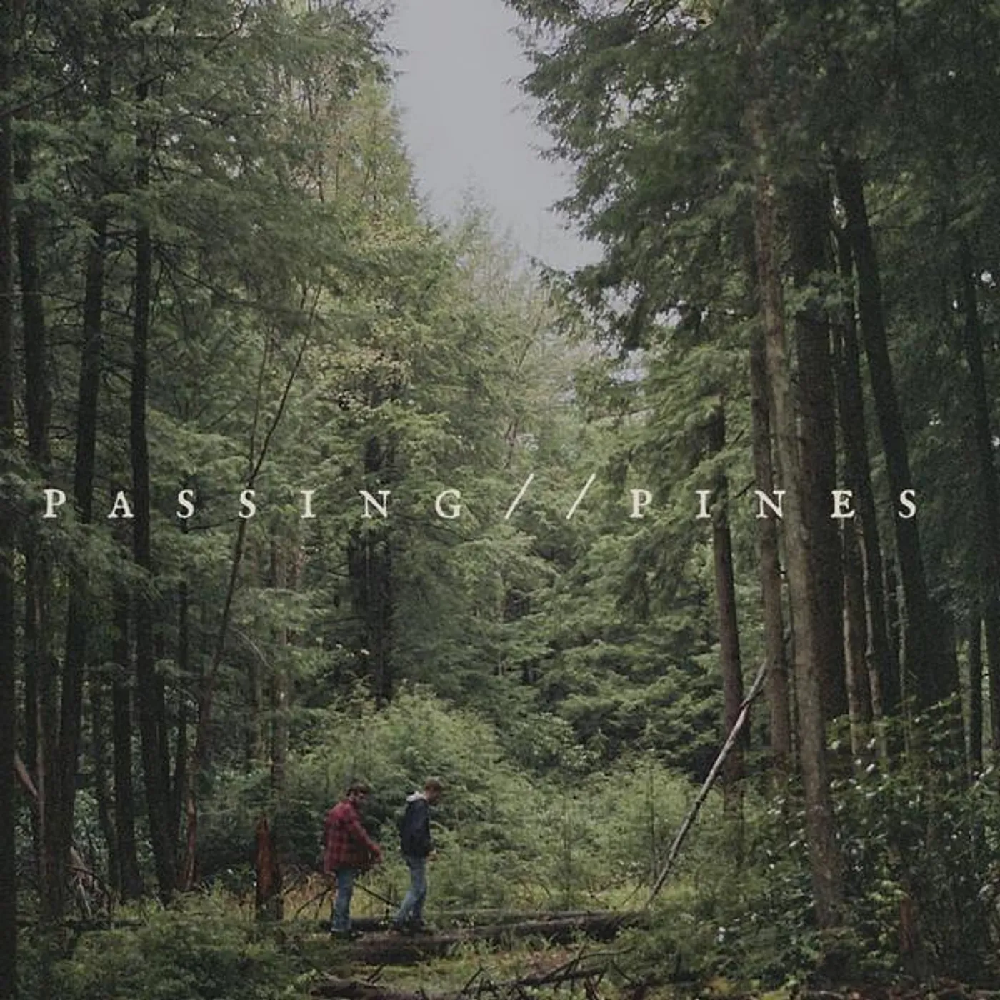 Passing Pines