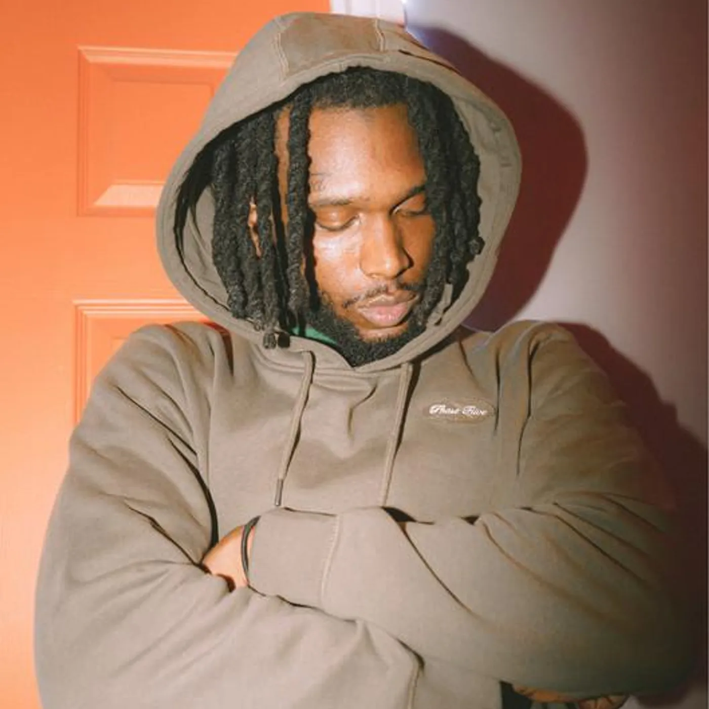 Pet Zebra Brand Page