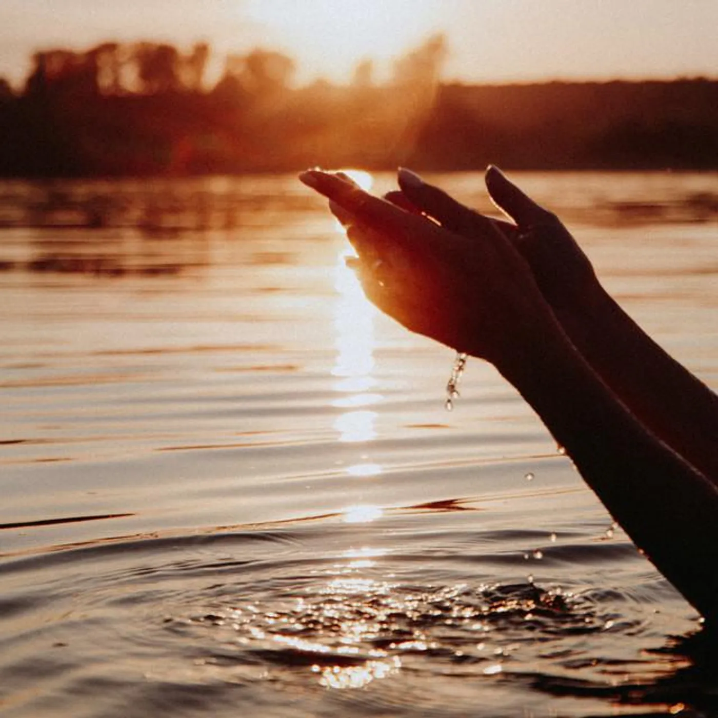 Pete Harris Brand Page