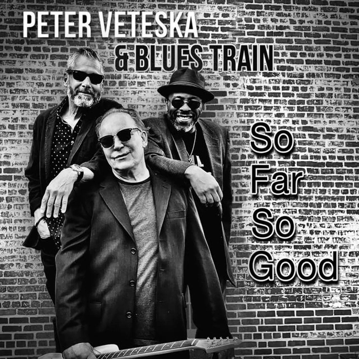 Peter Veteska & Blues Train Brand Page