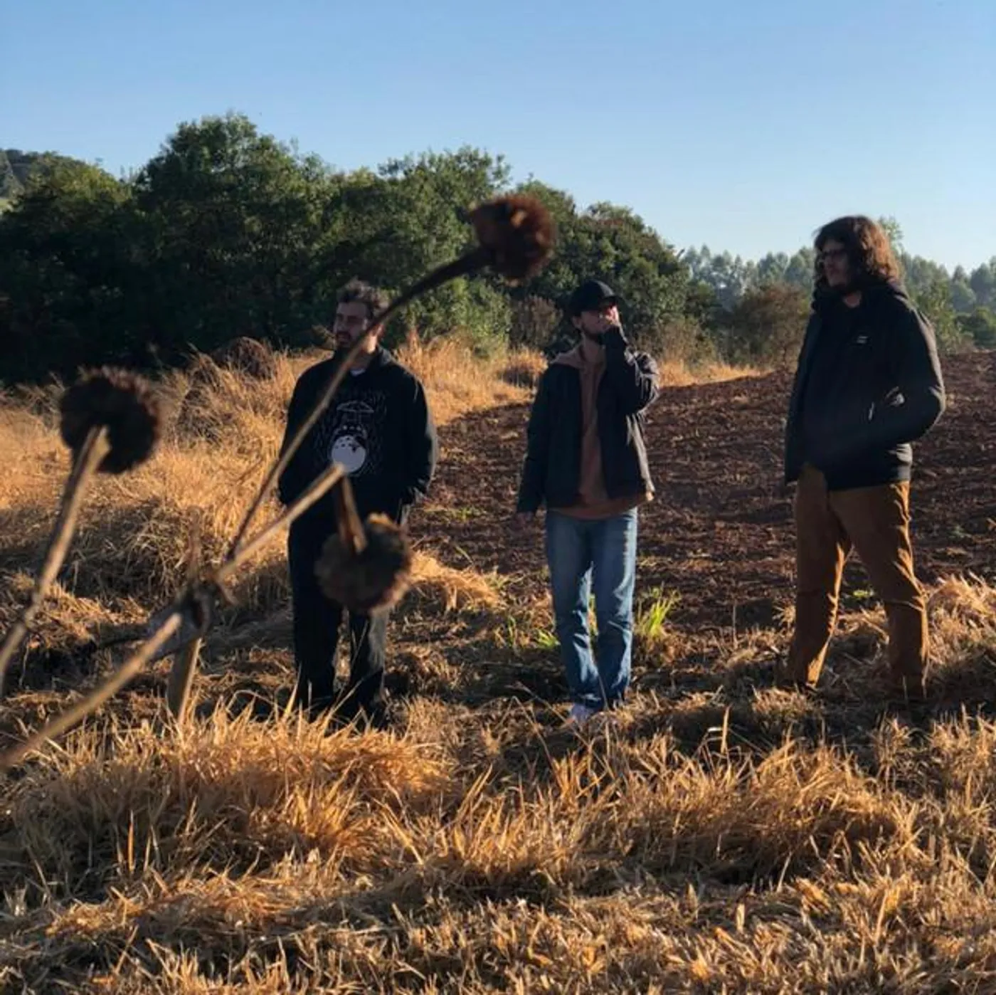 Pedro Bala e Os Holofotes