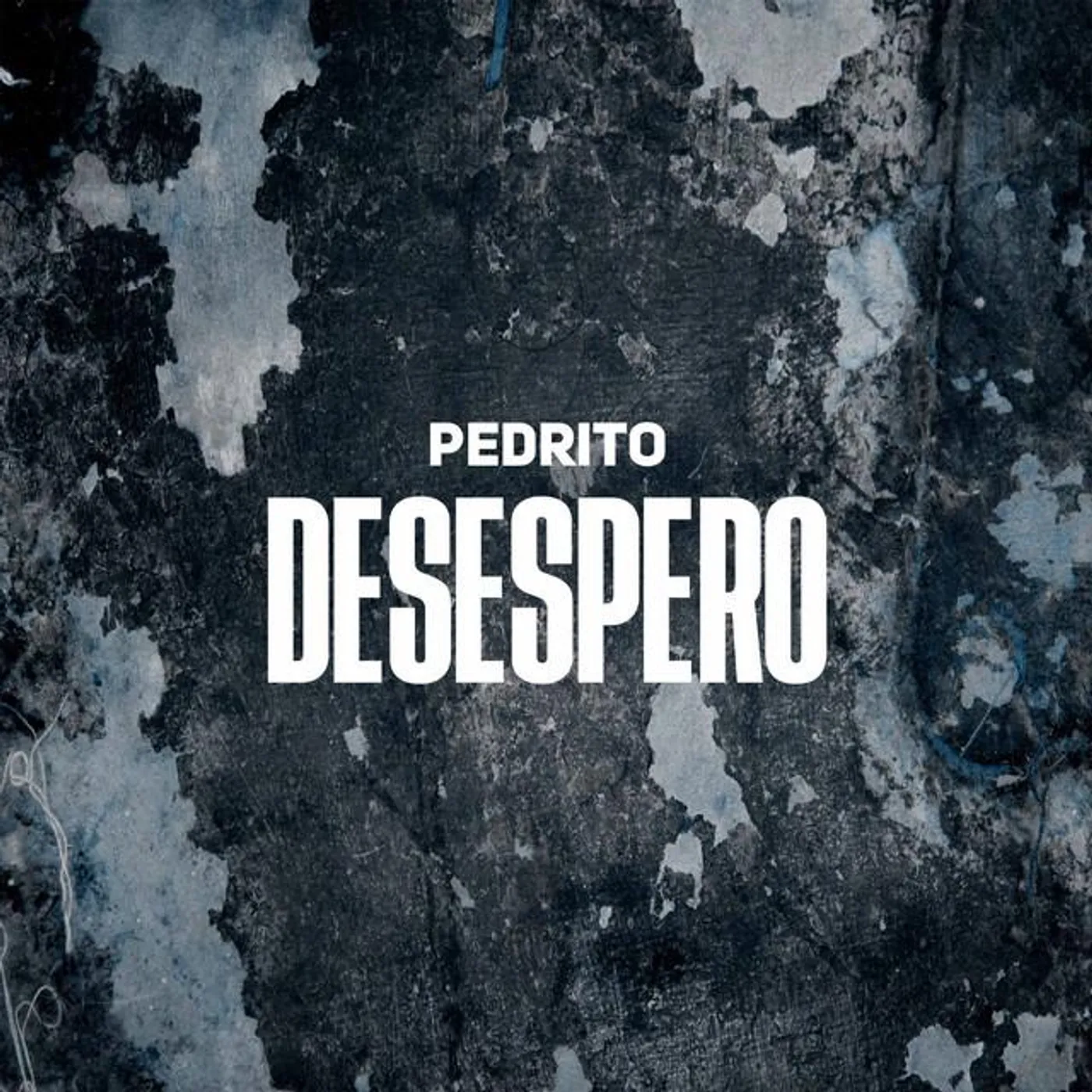 Pedrito