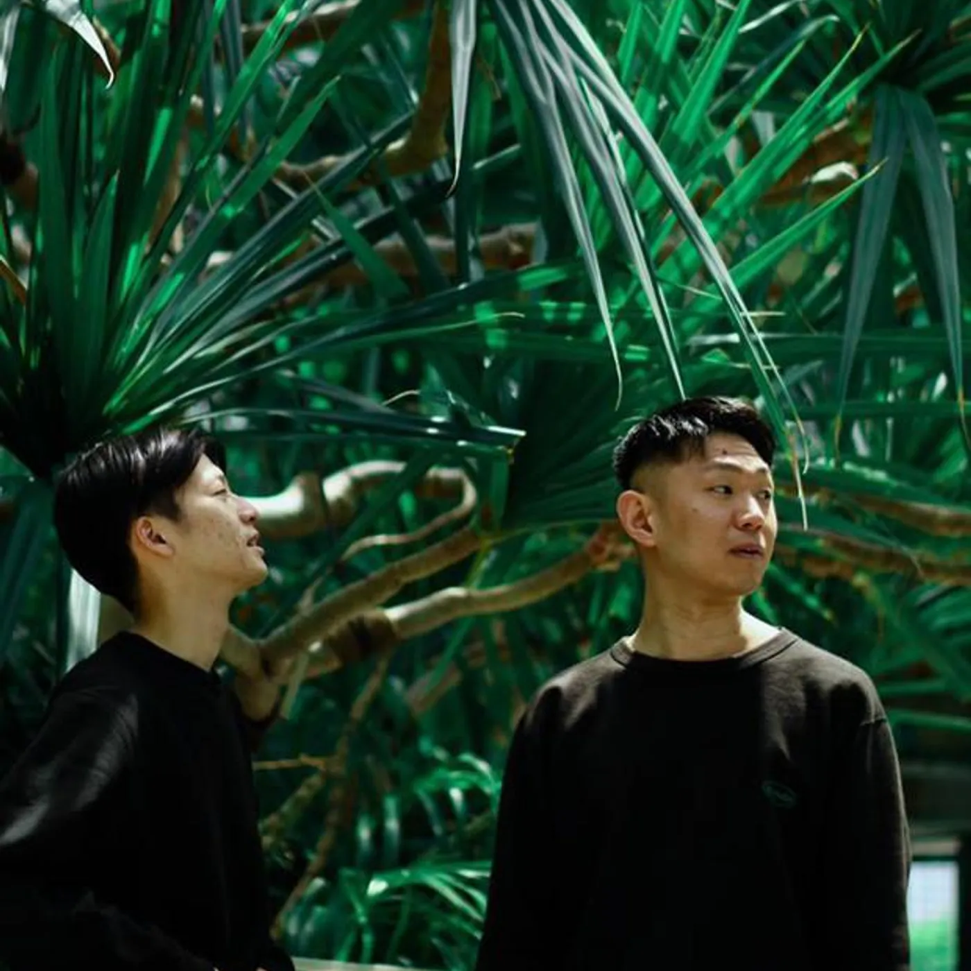 Pee J Anderson Brand Page