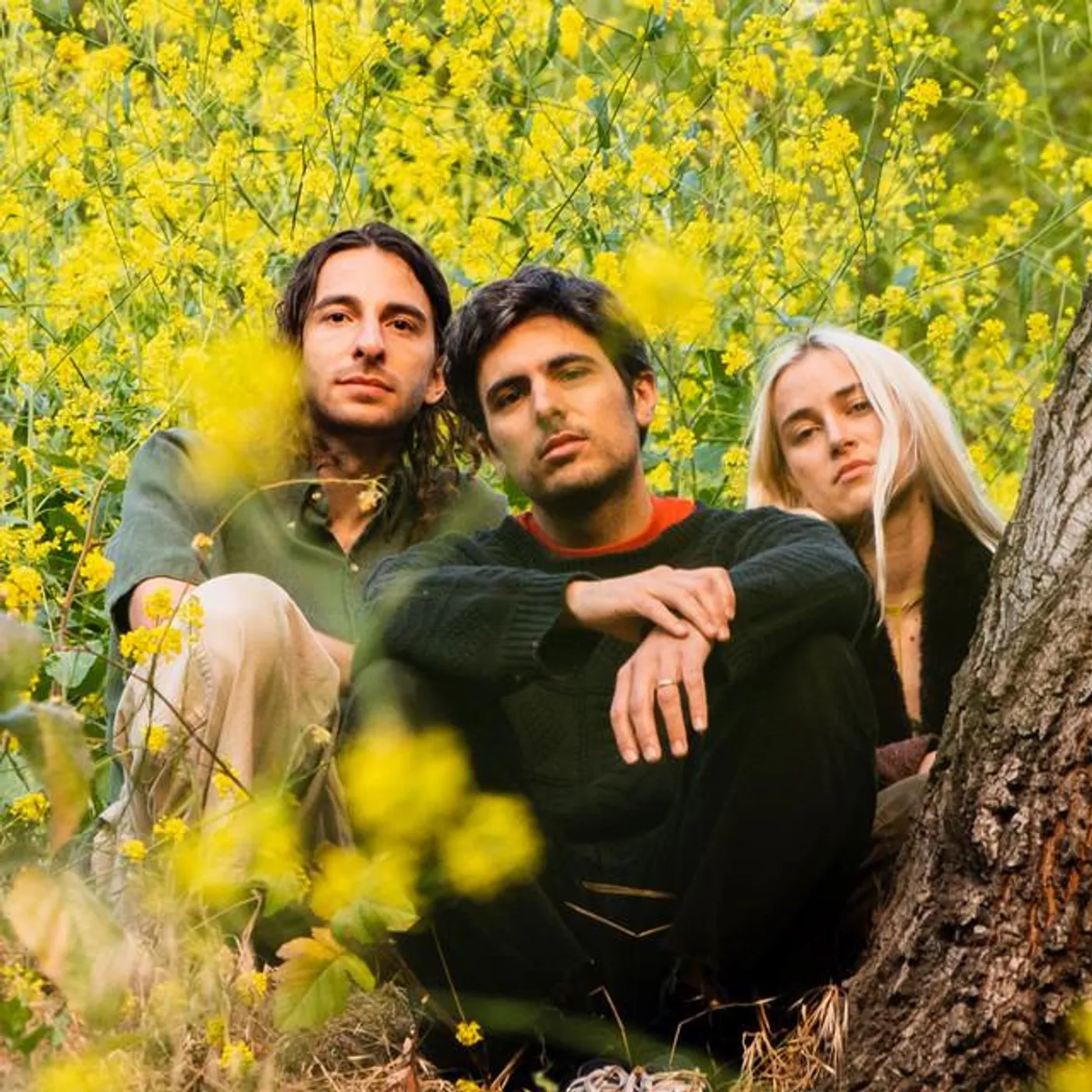 Peel Dream Magazine Brand Page