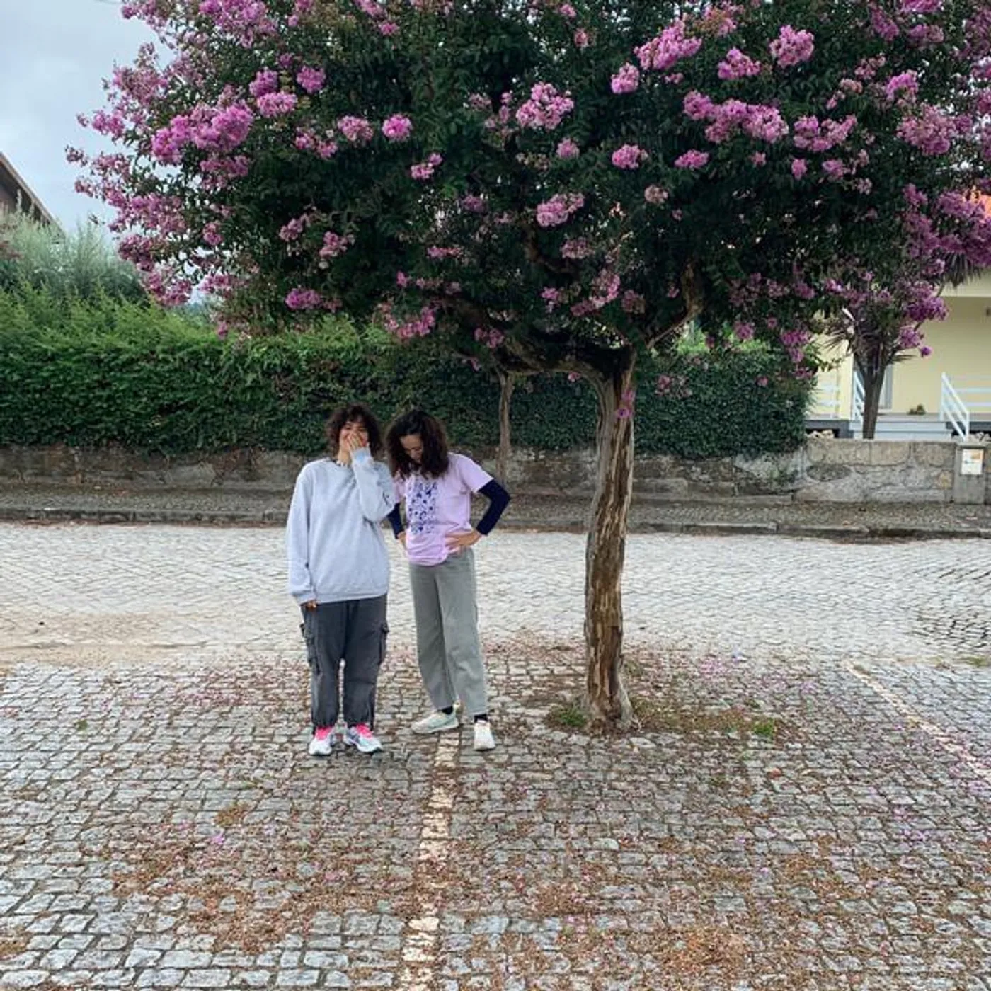 Pega Monstro Brand Page