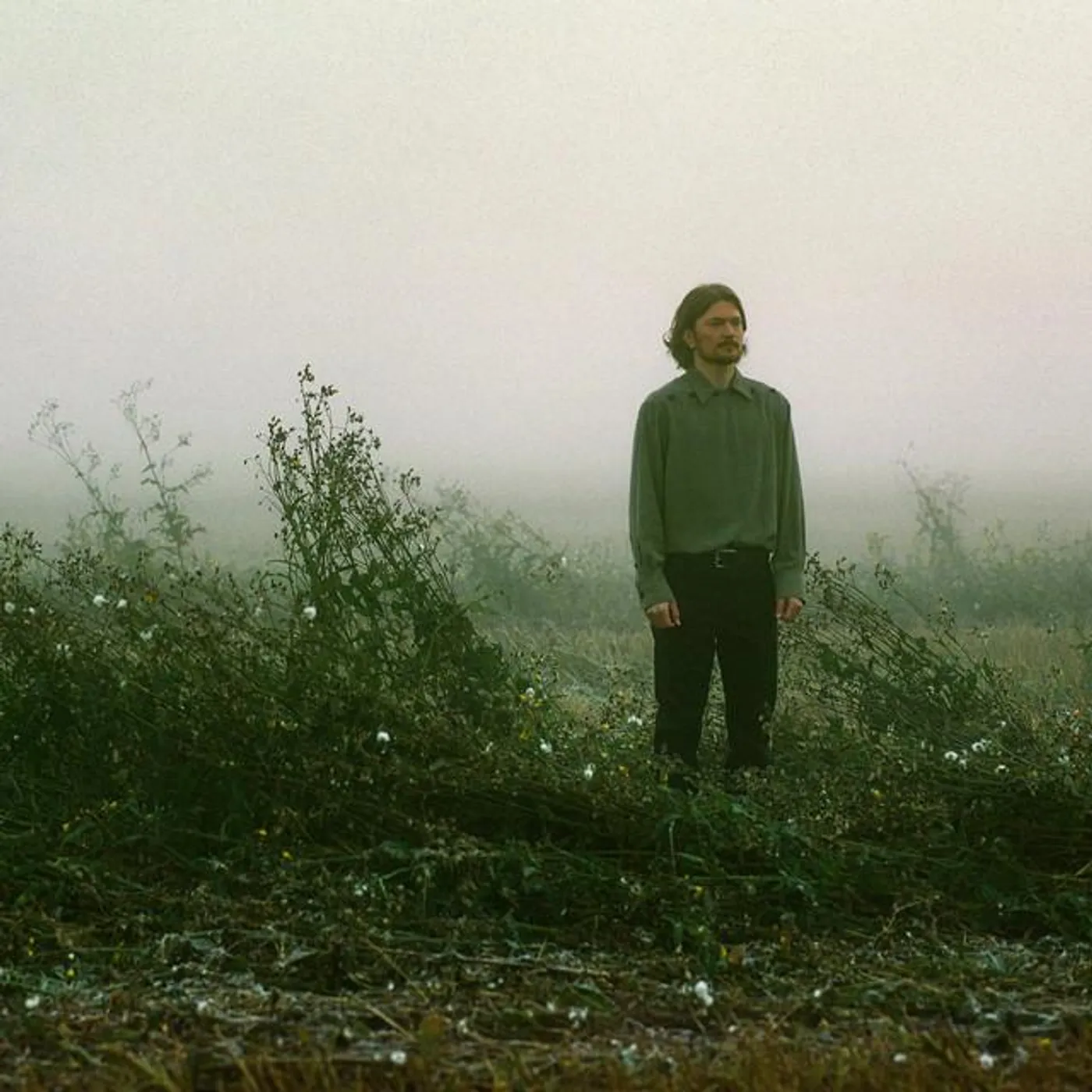 Pekka Nisu Brand Page