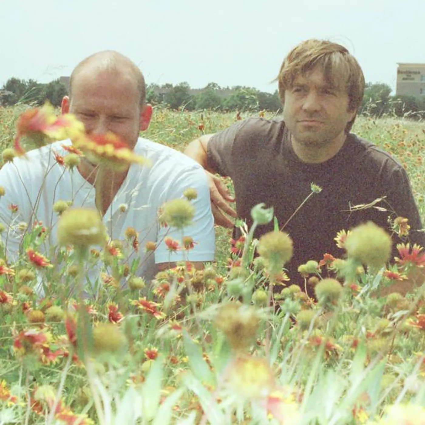 Penny and Sparrow Brand Page