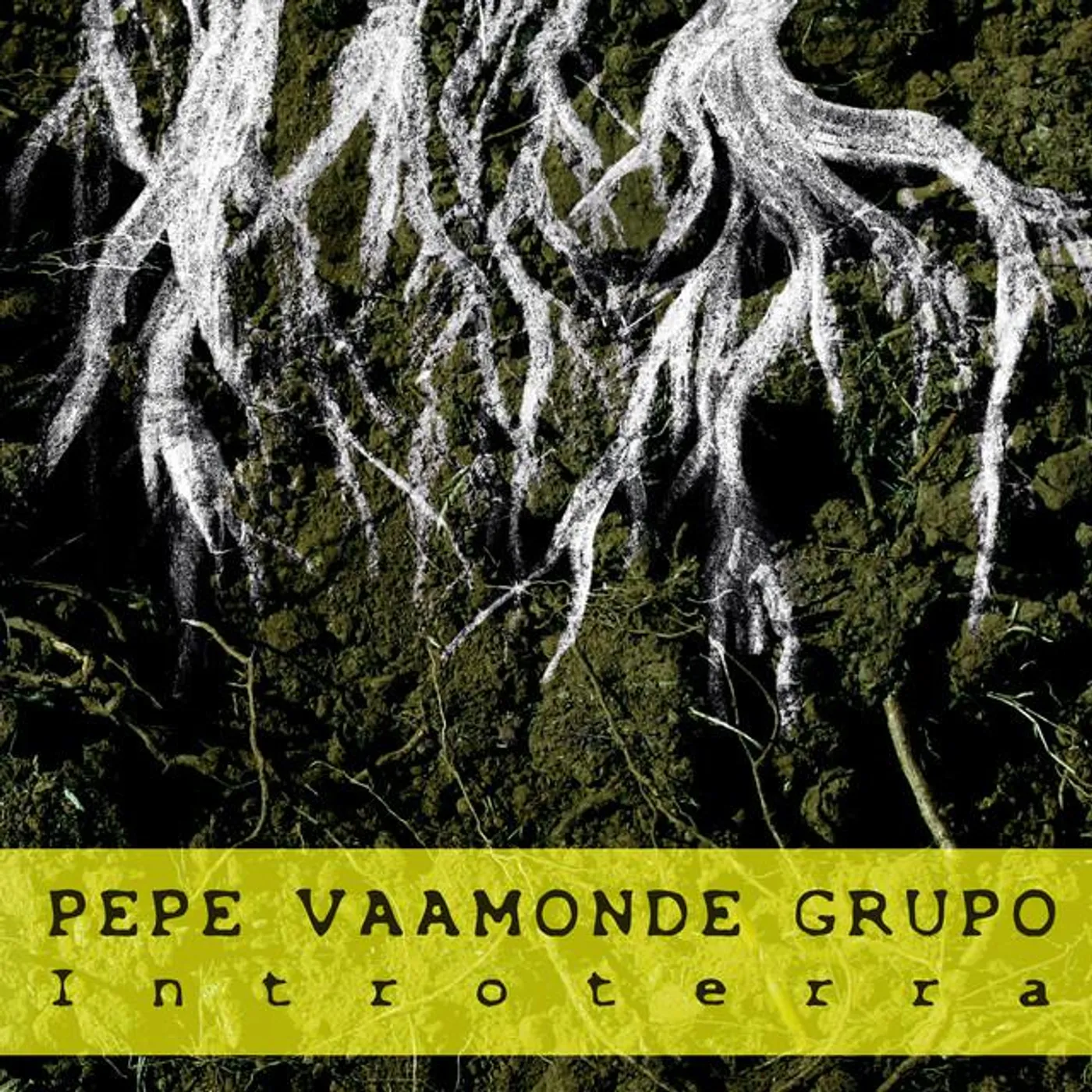 Pepe Vaamonde Grupo