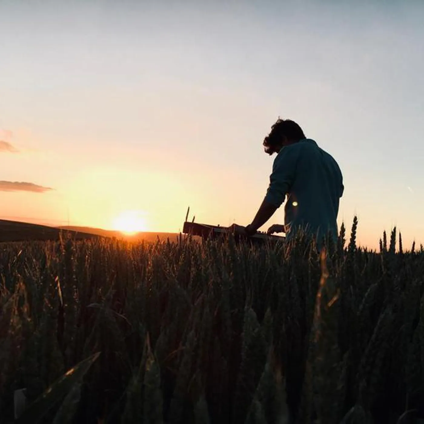 Performer Brand Page