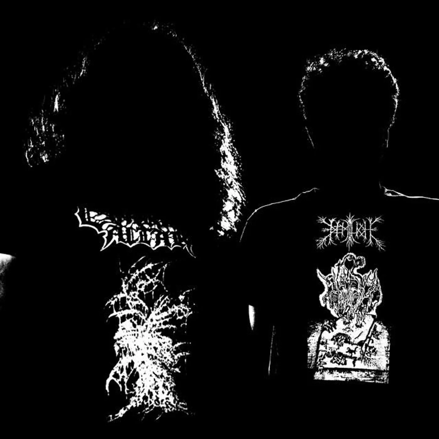 Perilaxe Occlusion Brand Page