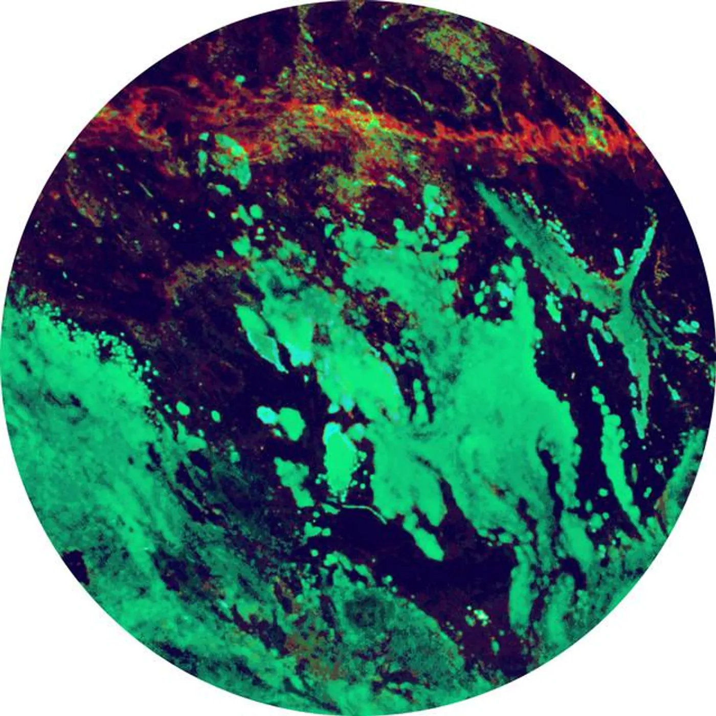 Perth Drug Legend Brand Page