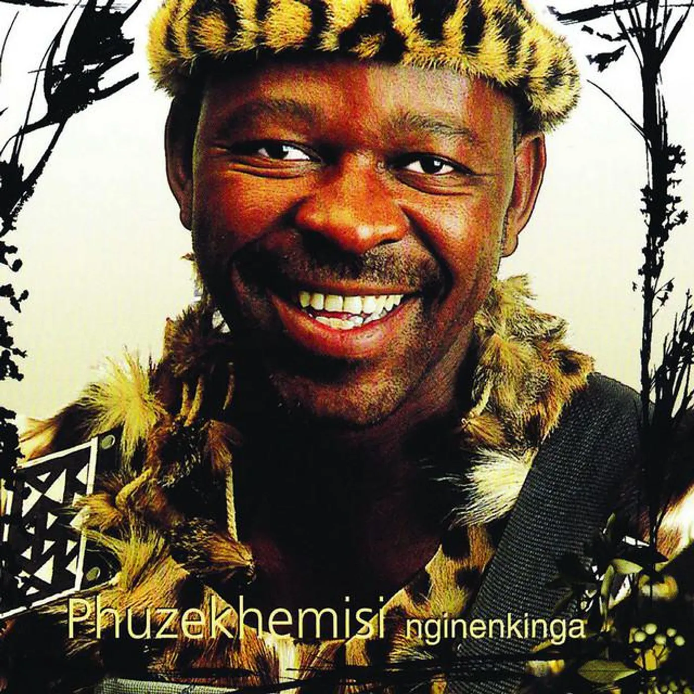 Phuzekhemisi Brand Page