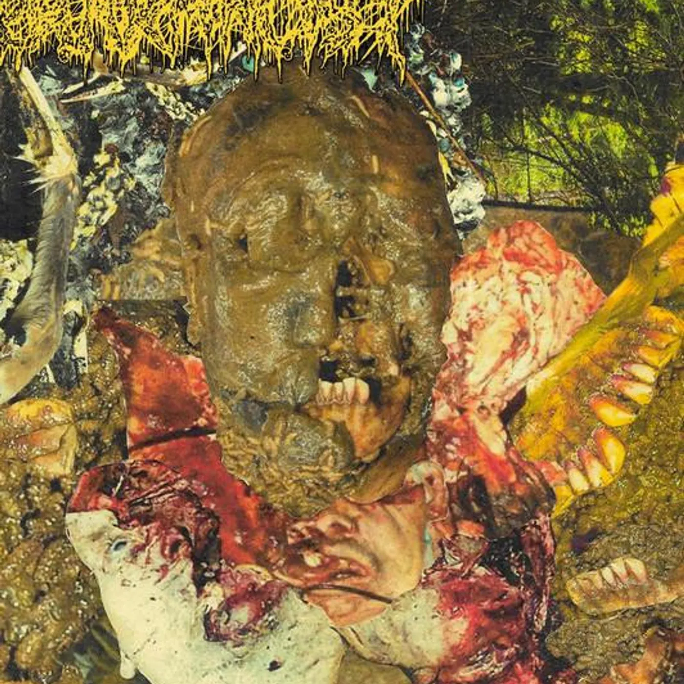 Pharmacist Brand Page