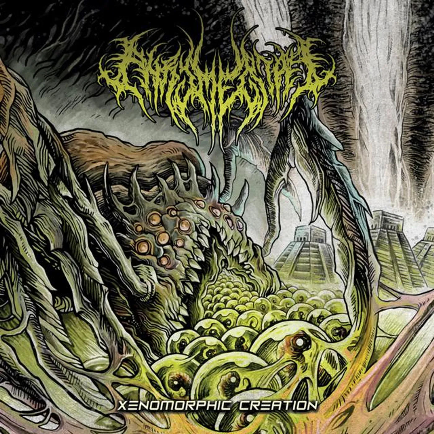 Phrymerial Brand Page