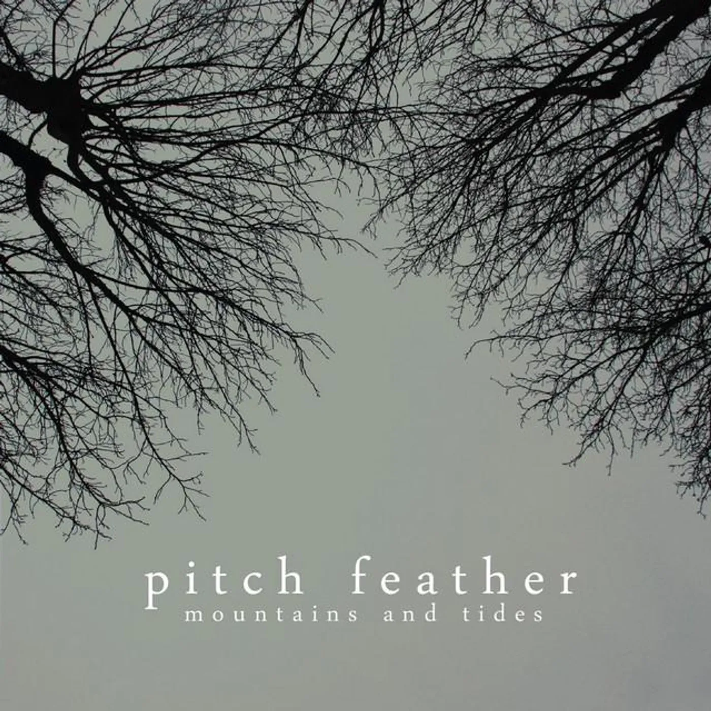 Pitch Feather