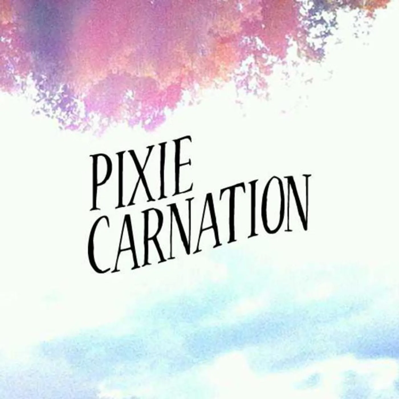 Pixie Carnation