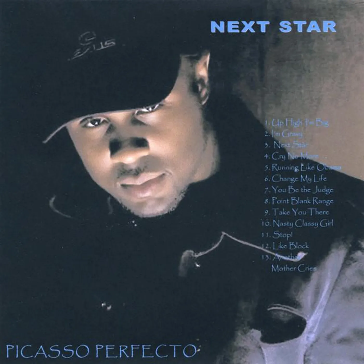 Picasso Perfecto Brand Page