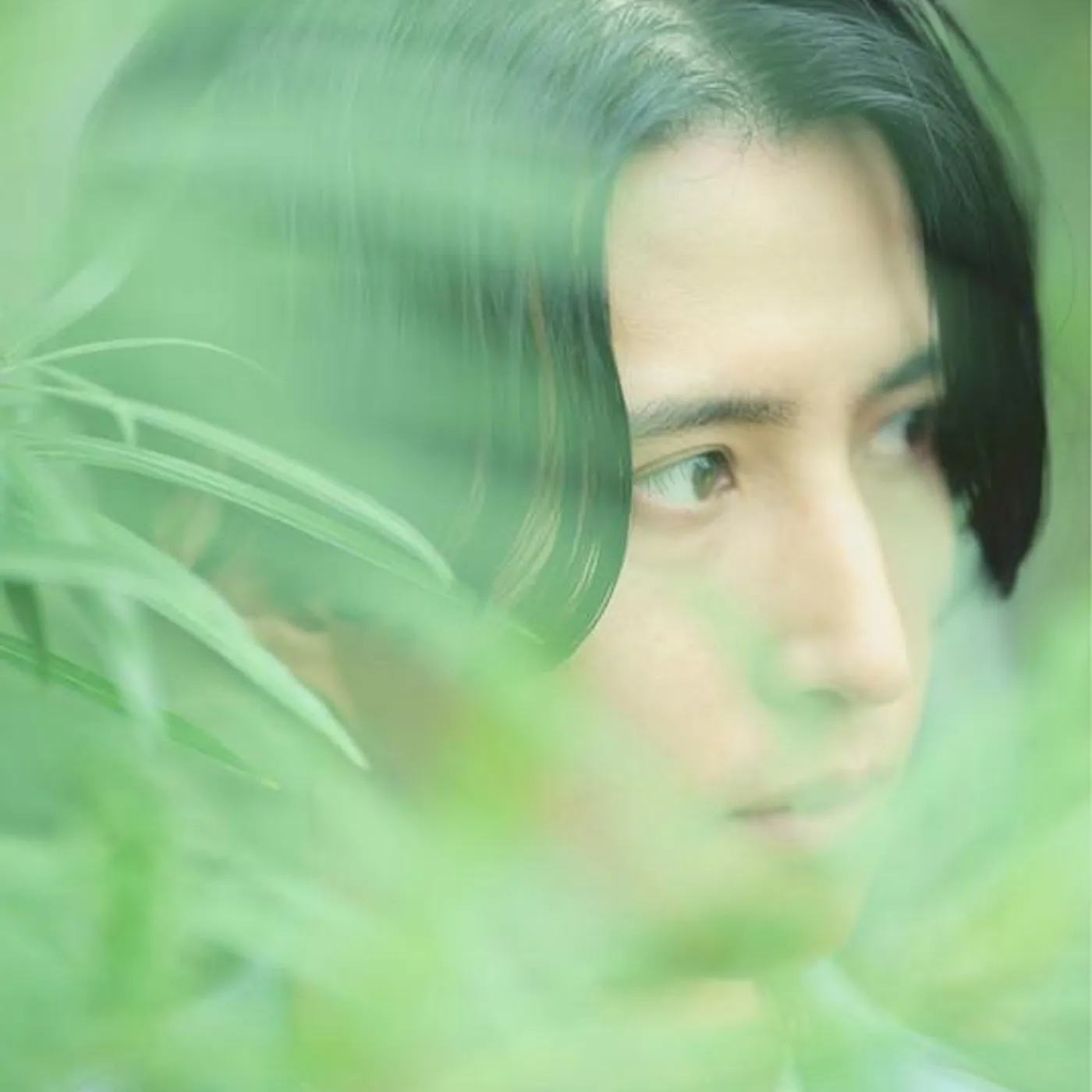 Pictured Resort Brand Page