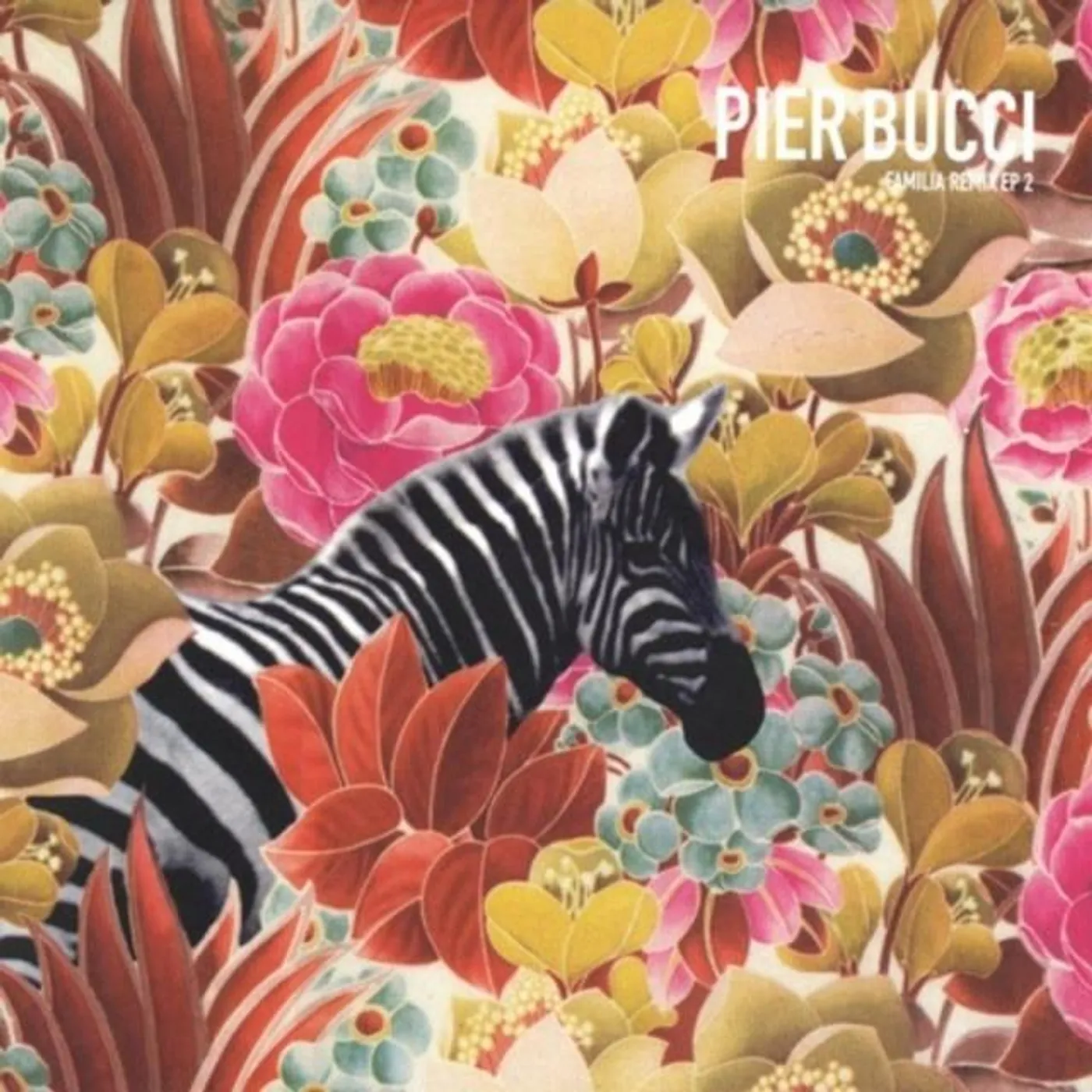 Pier Bucci Brand Page