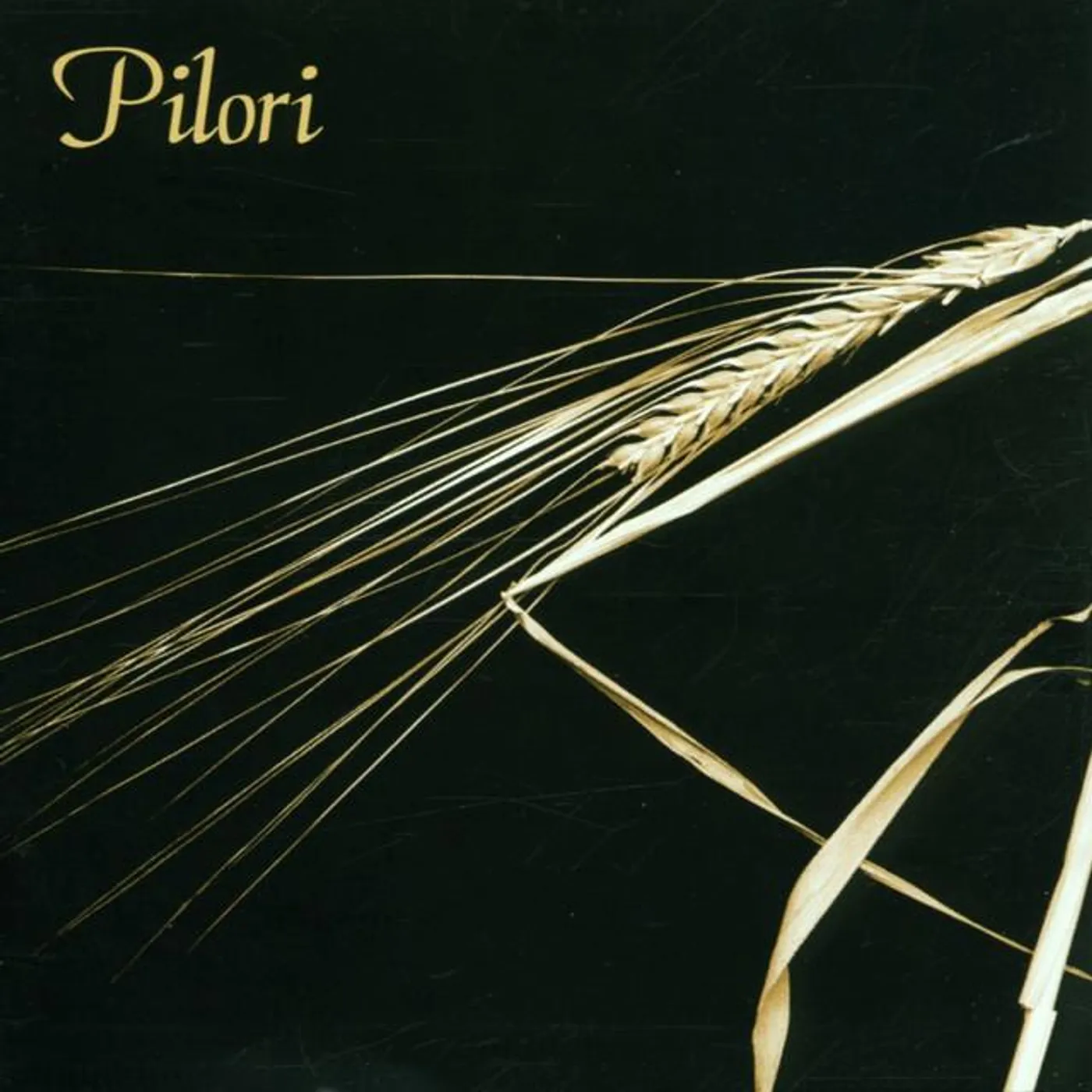 Pilori Brand Page