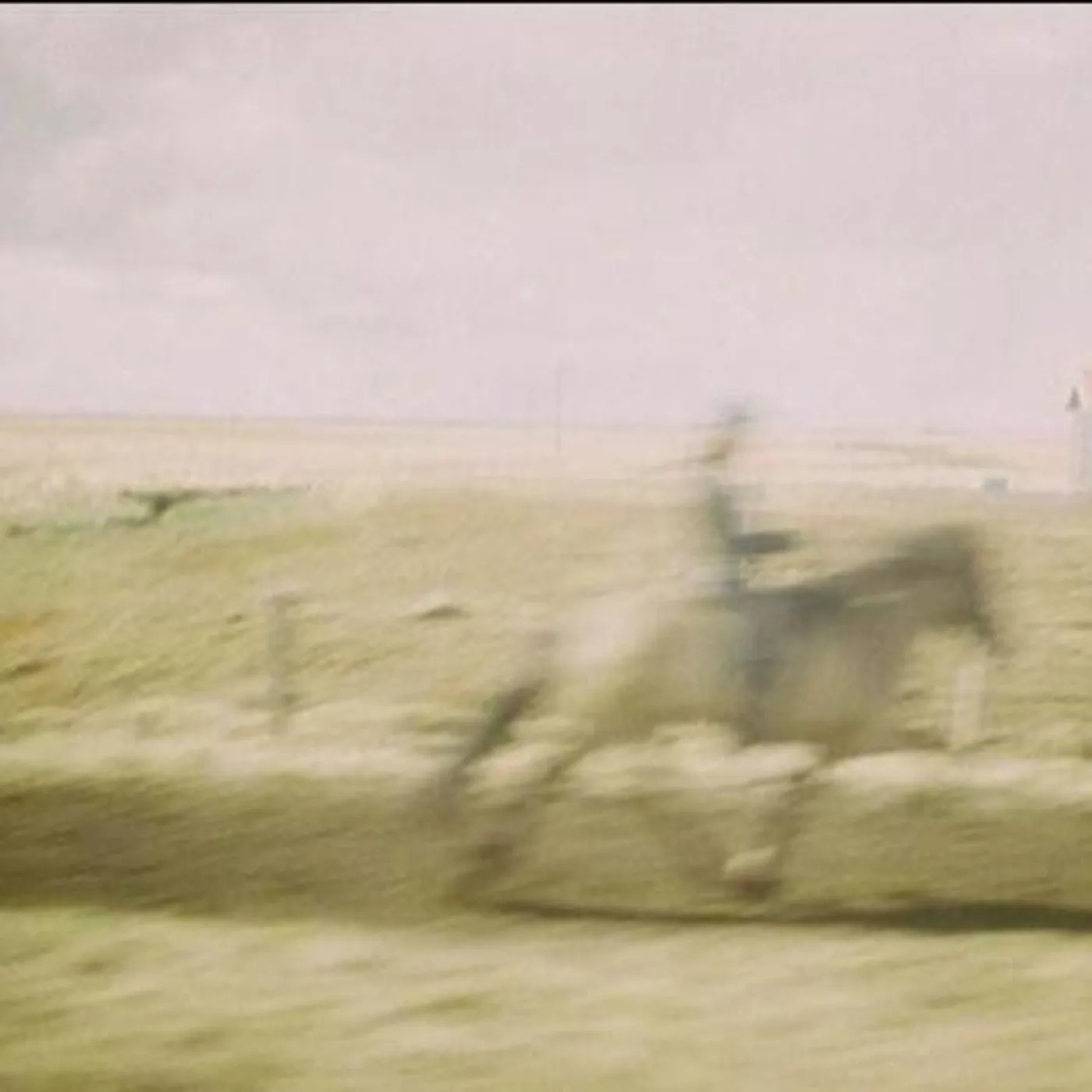 Pill Friends Brand Page