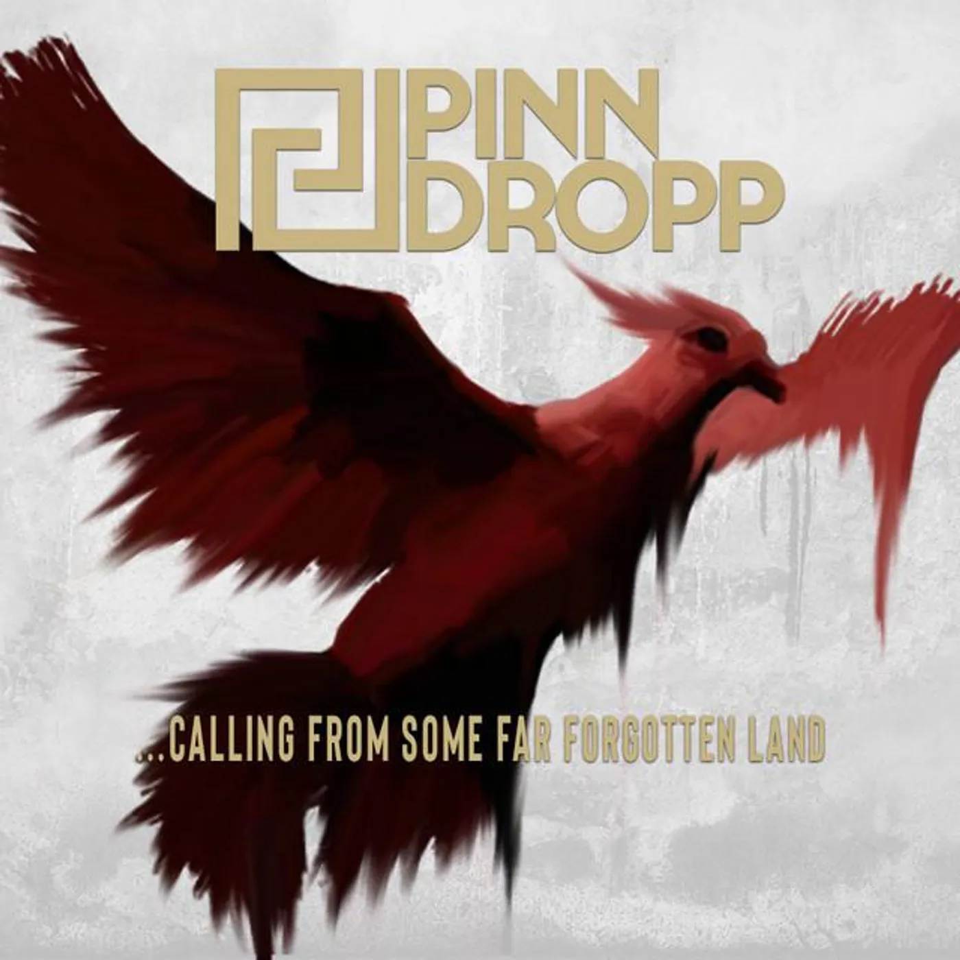 Pinn Dropp Brand Page