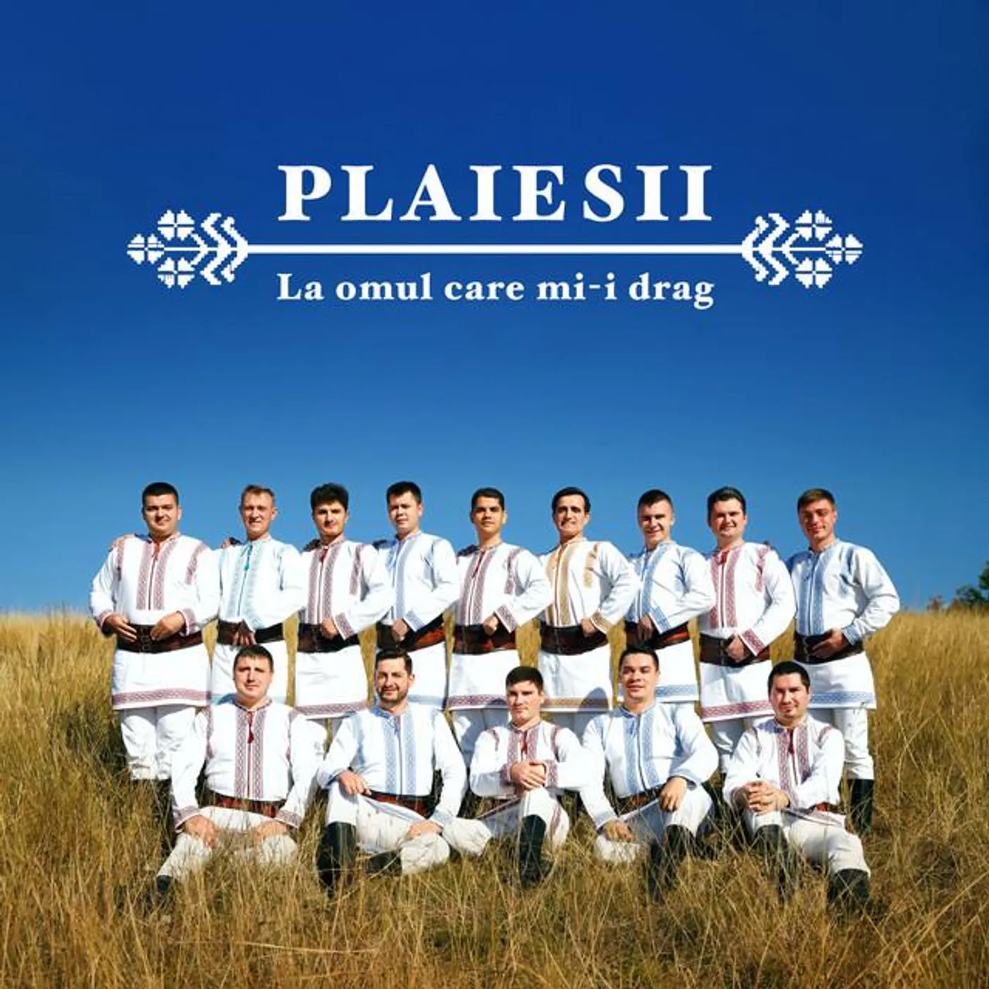 Plaiesii