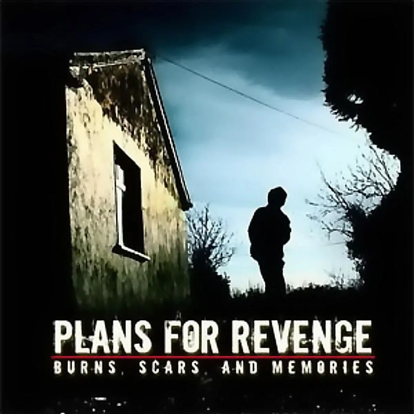 Plans For Revenge