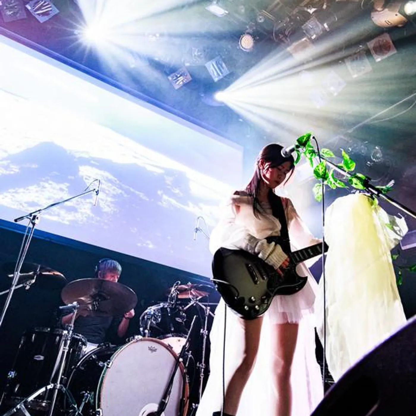 Plant cell Brand Page