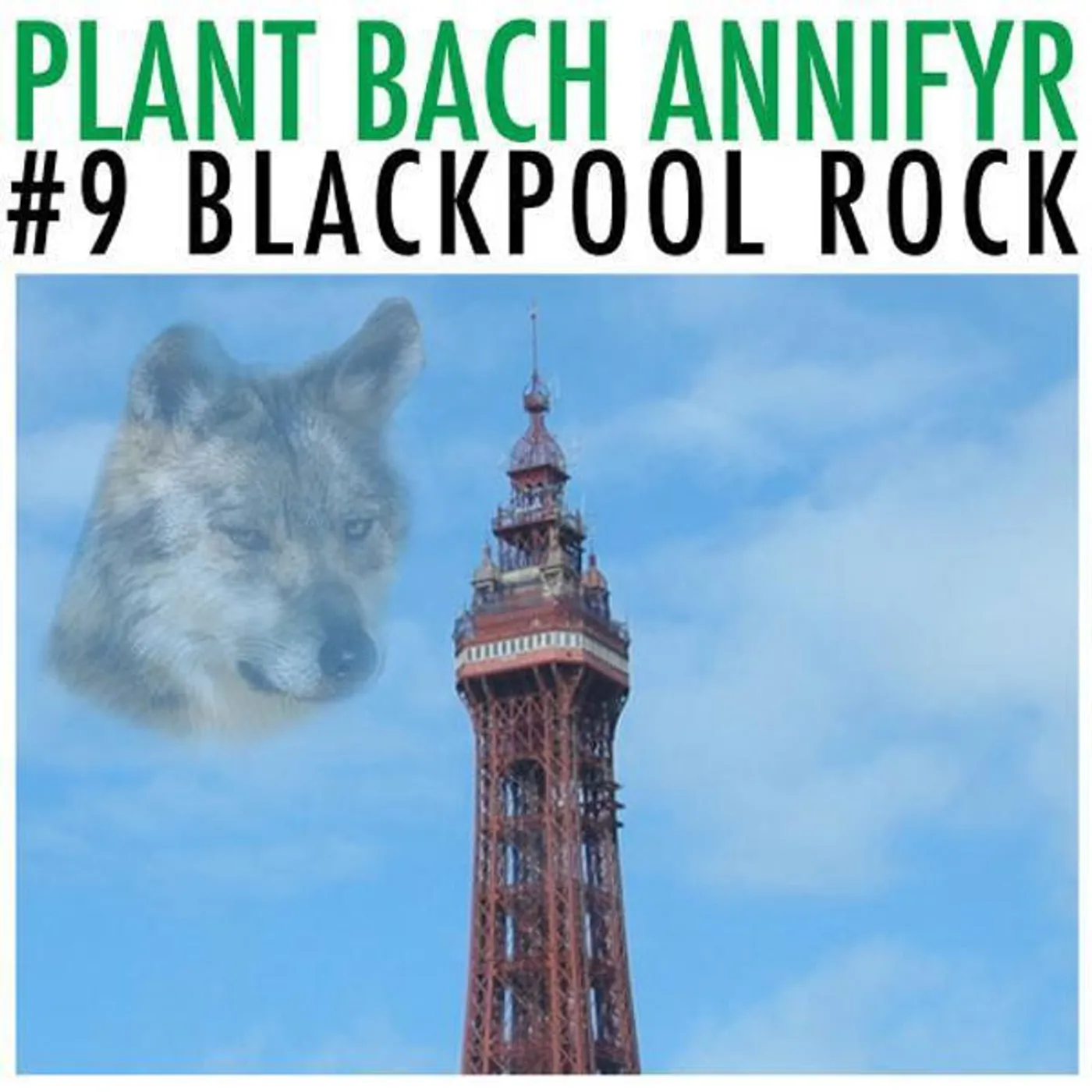 Plant Bach Annifyr