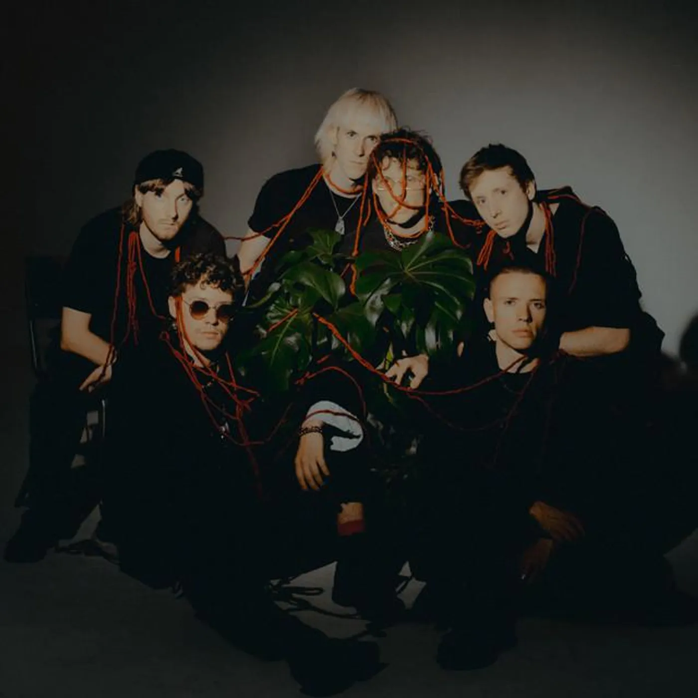 Plantfood Brand Page