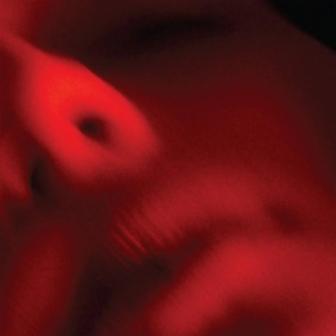 Plants Army Revolver