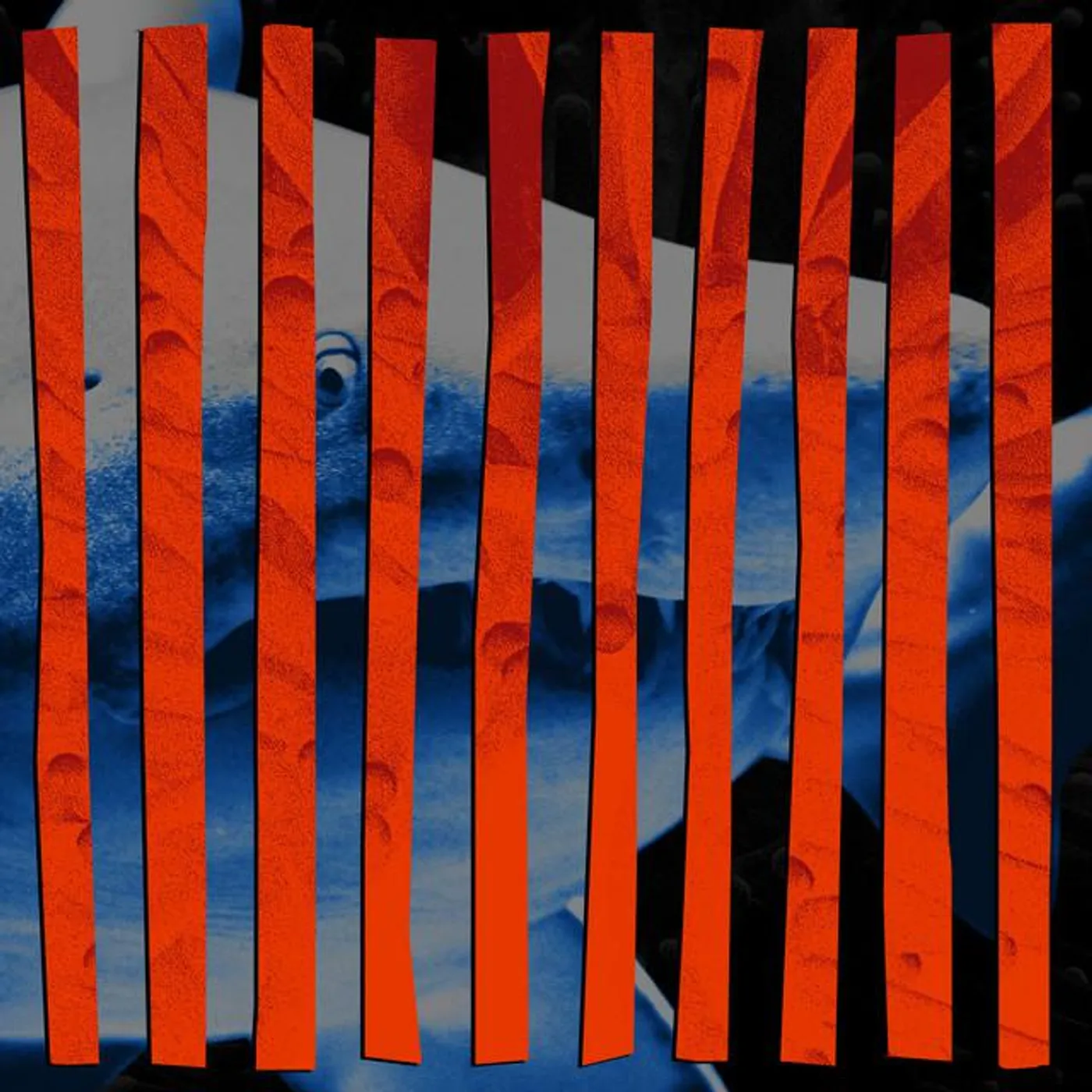 Play Paul Brand Page