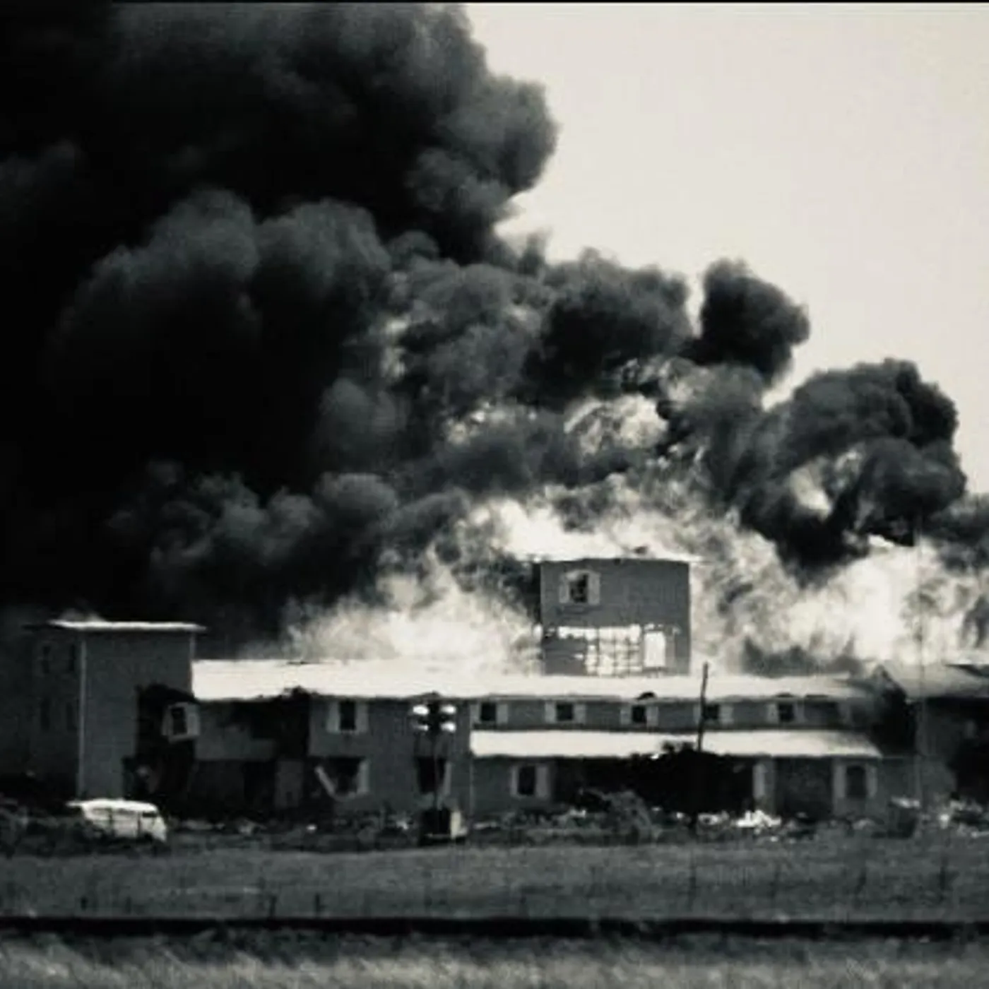 Pleasure Policy Brand Page