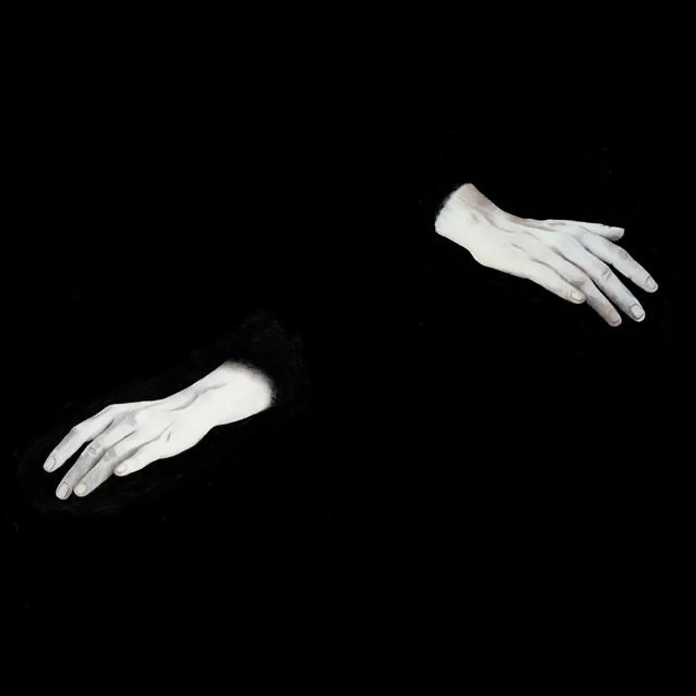 Prado Negro Brand Page