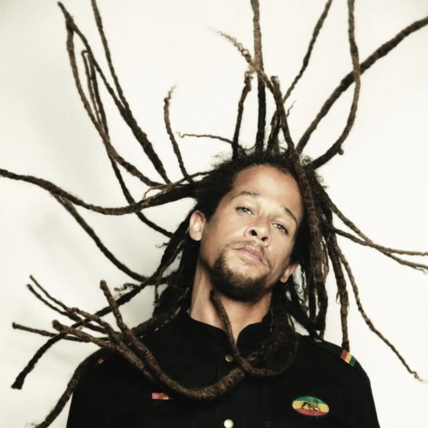 Predator Dub Assassins Brand Page