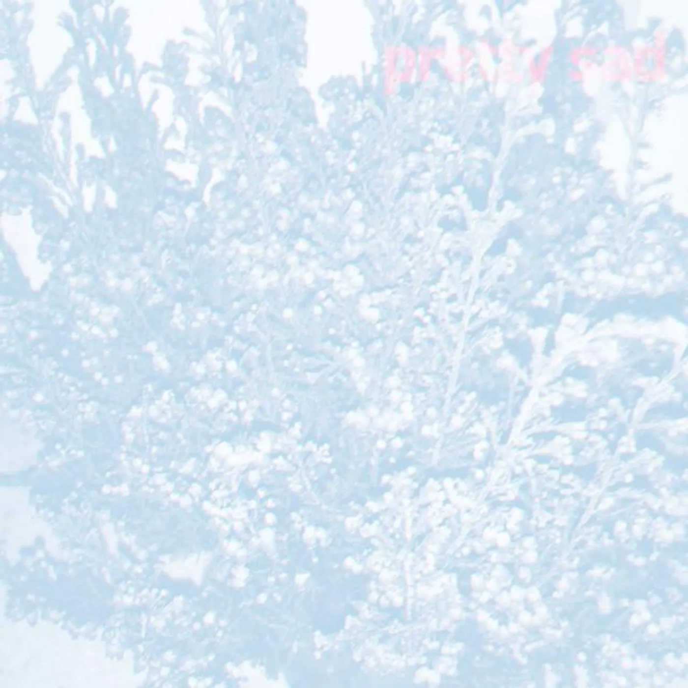 Pretty Sad Brand Page