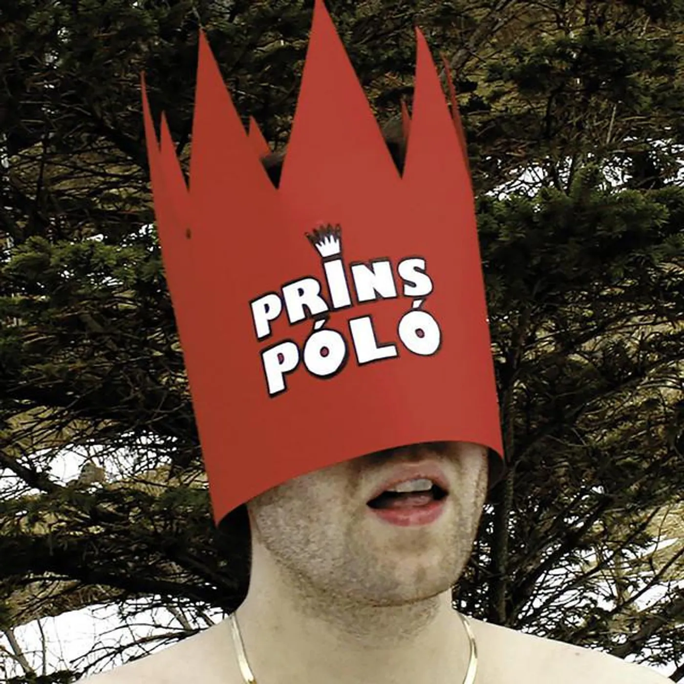 Prinspolo Brand Page