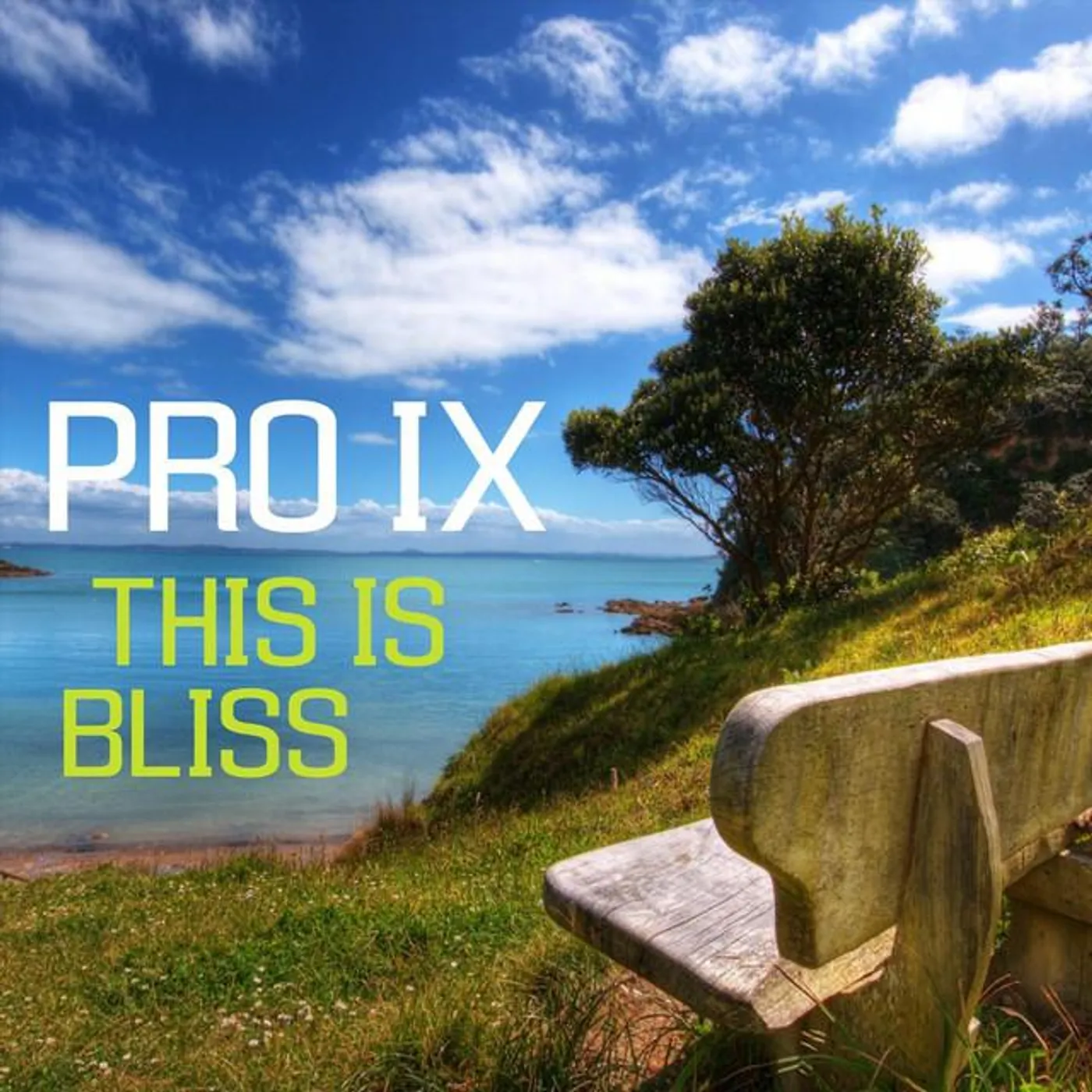 Pro IX Brand Page