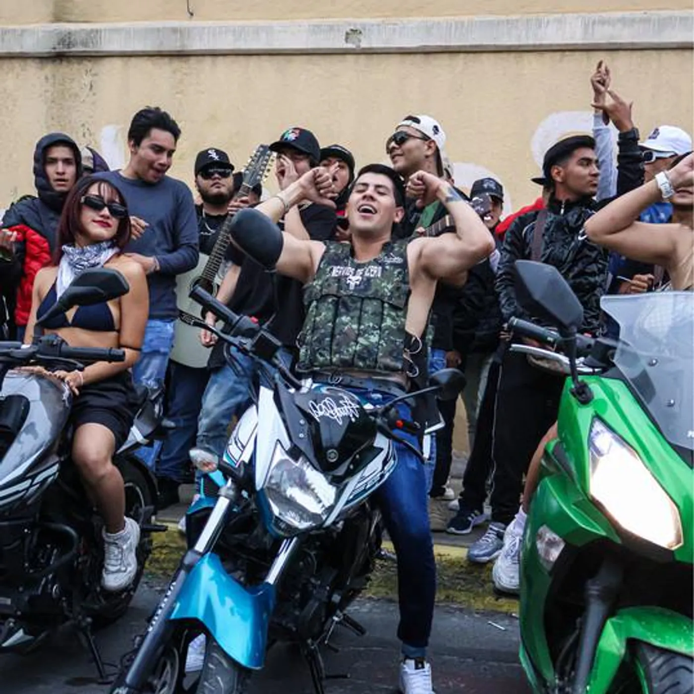 Proceder Elegante Brand Page