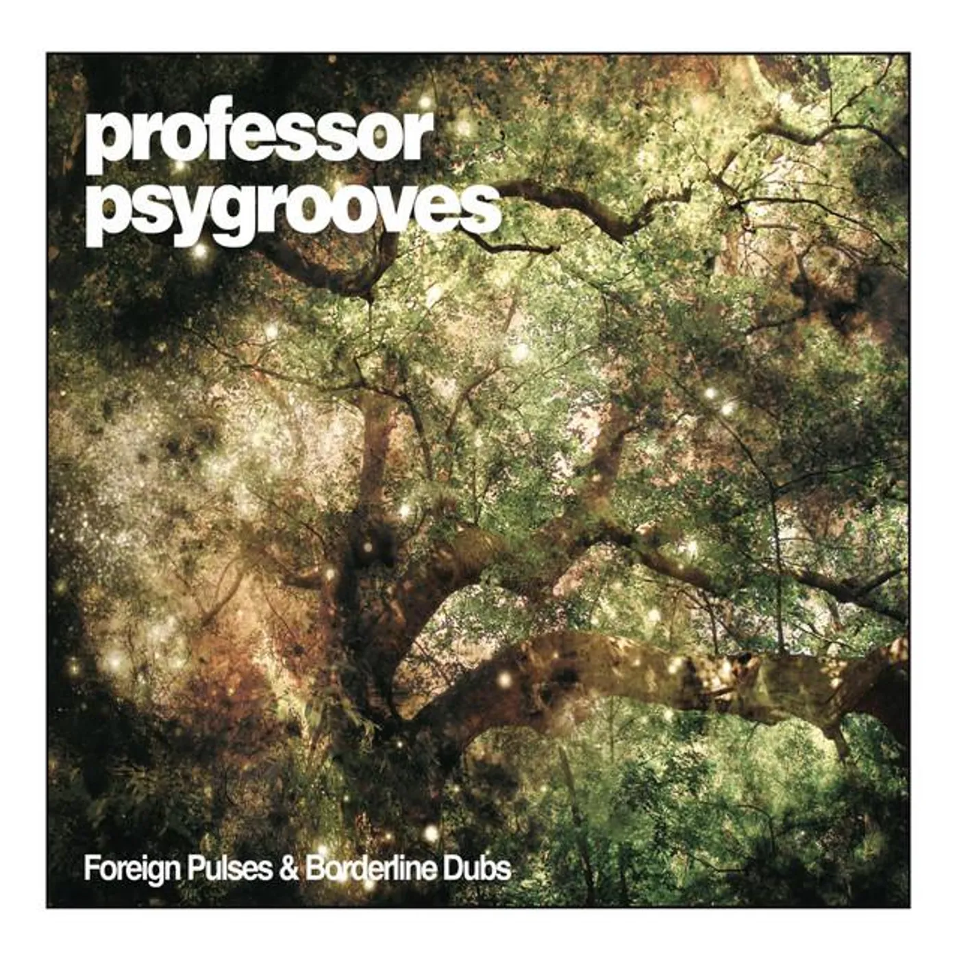 Professor Psygrooves