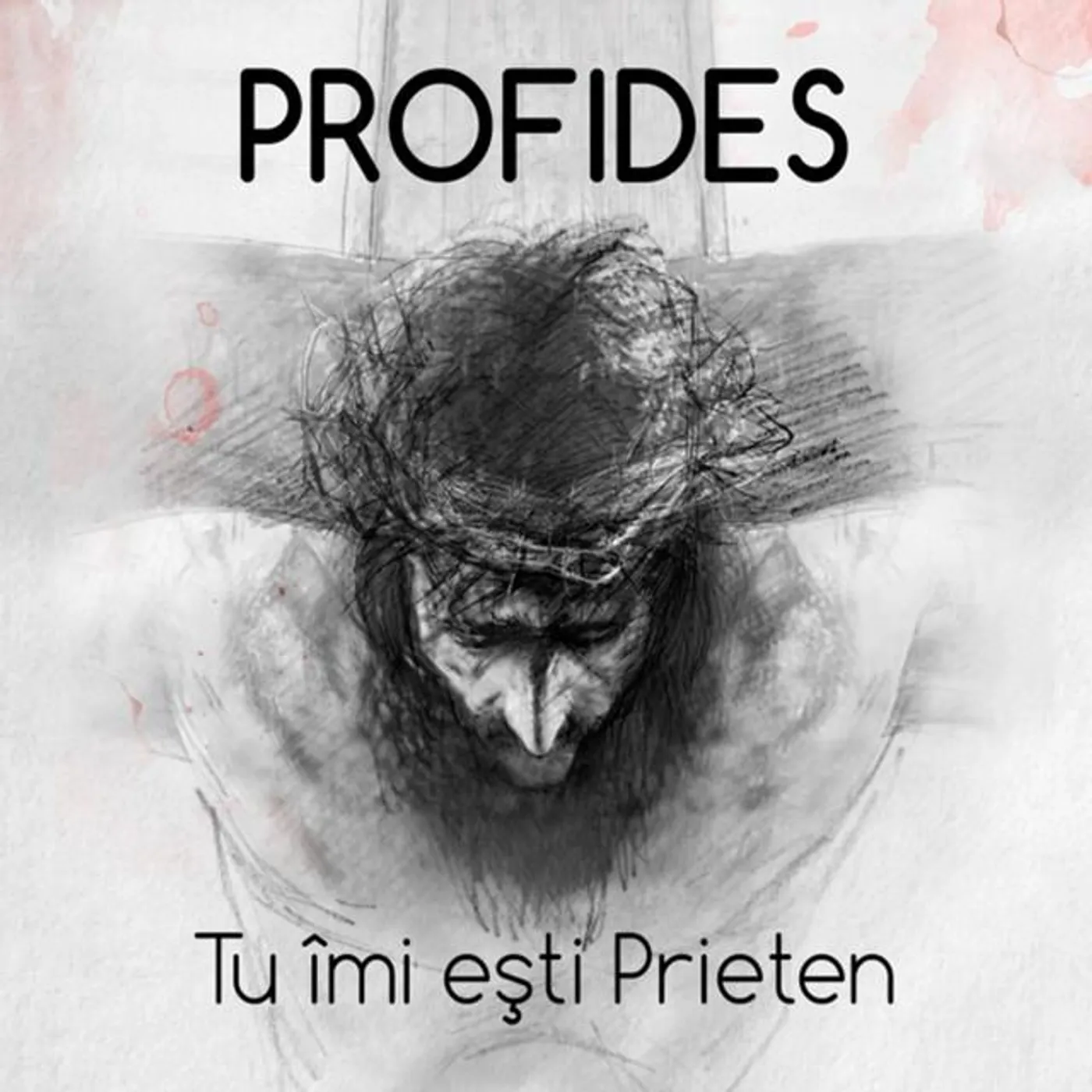 Profides Brand Page