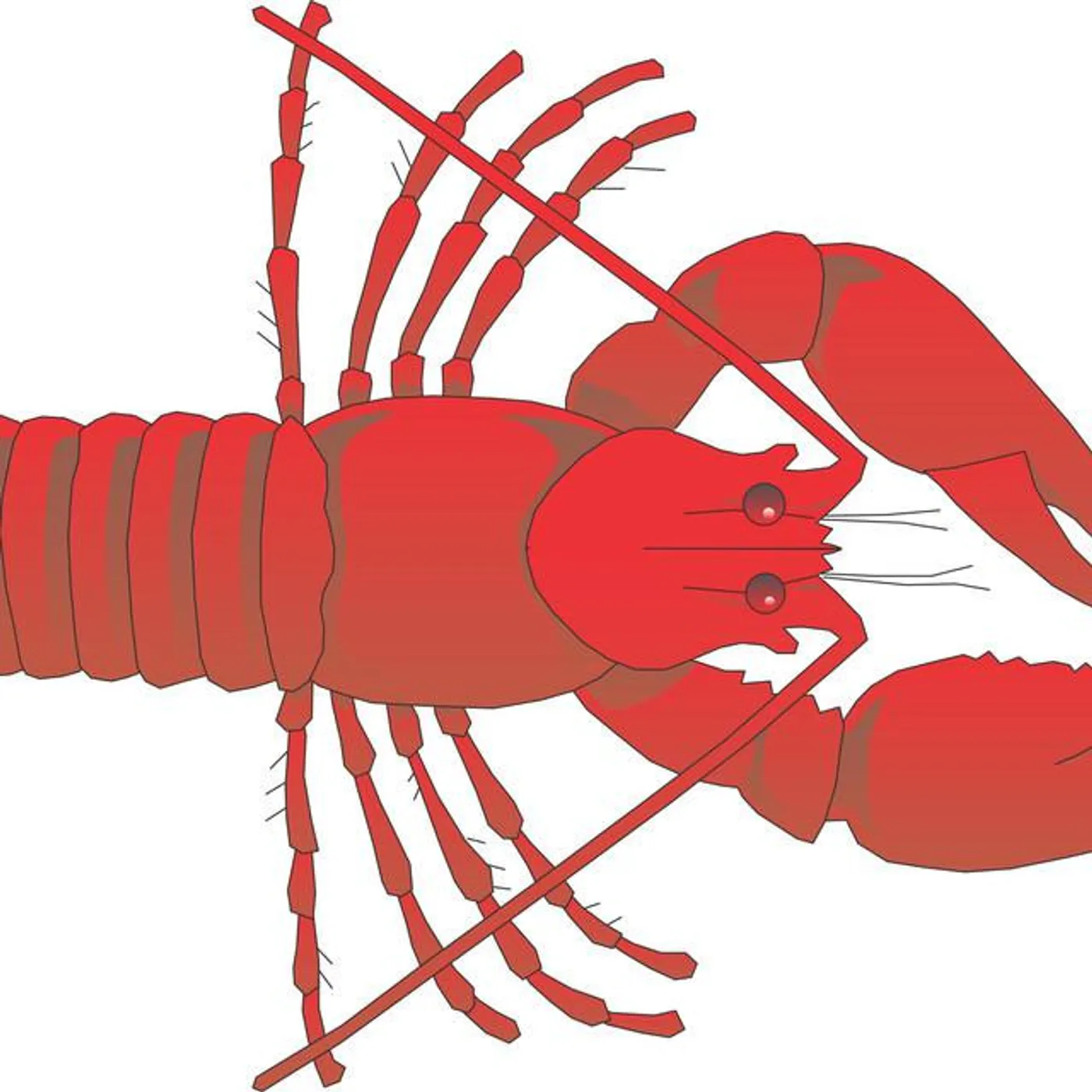 Psychotropic Brand Page