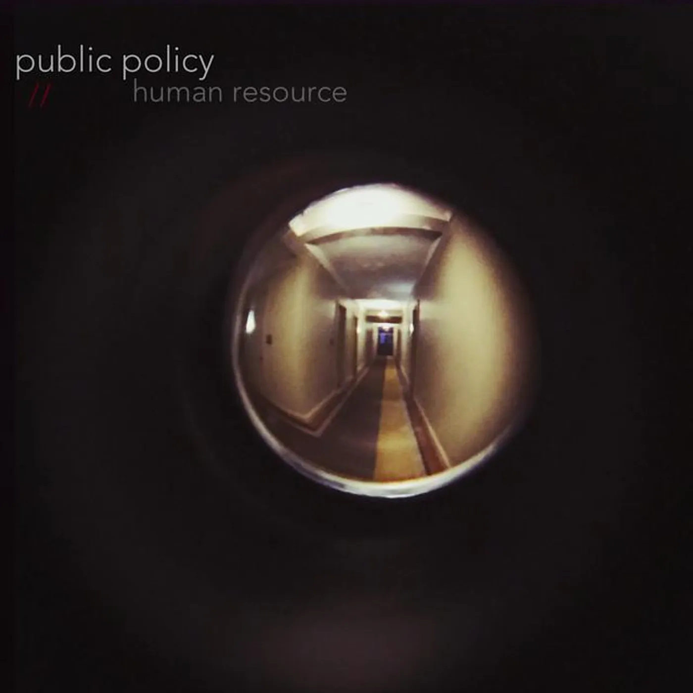 Public Policy