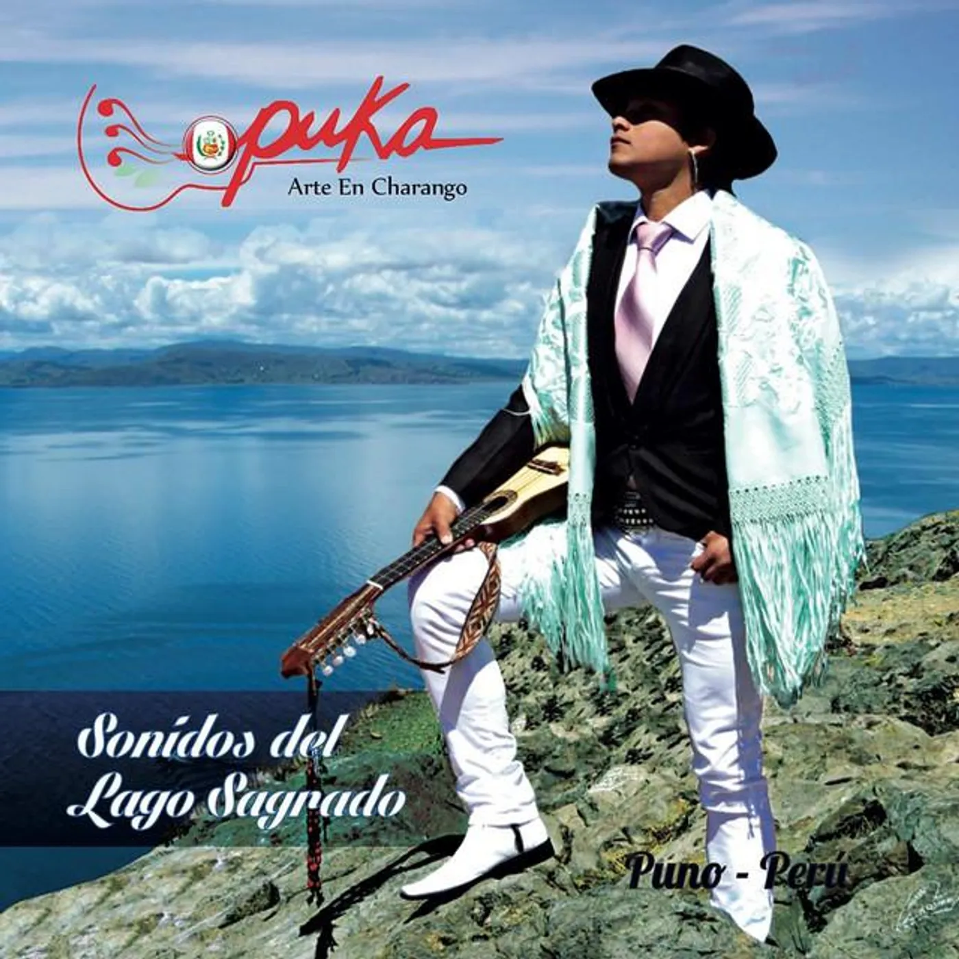 Puka Arte en Charango