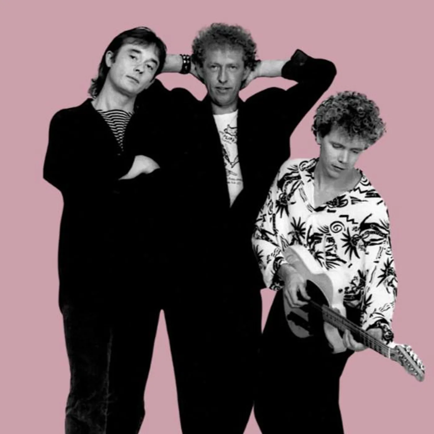 Pukka Orchestra Brand Page