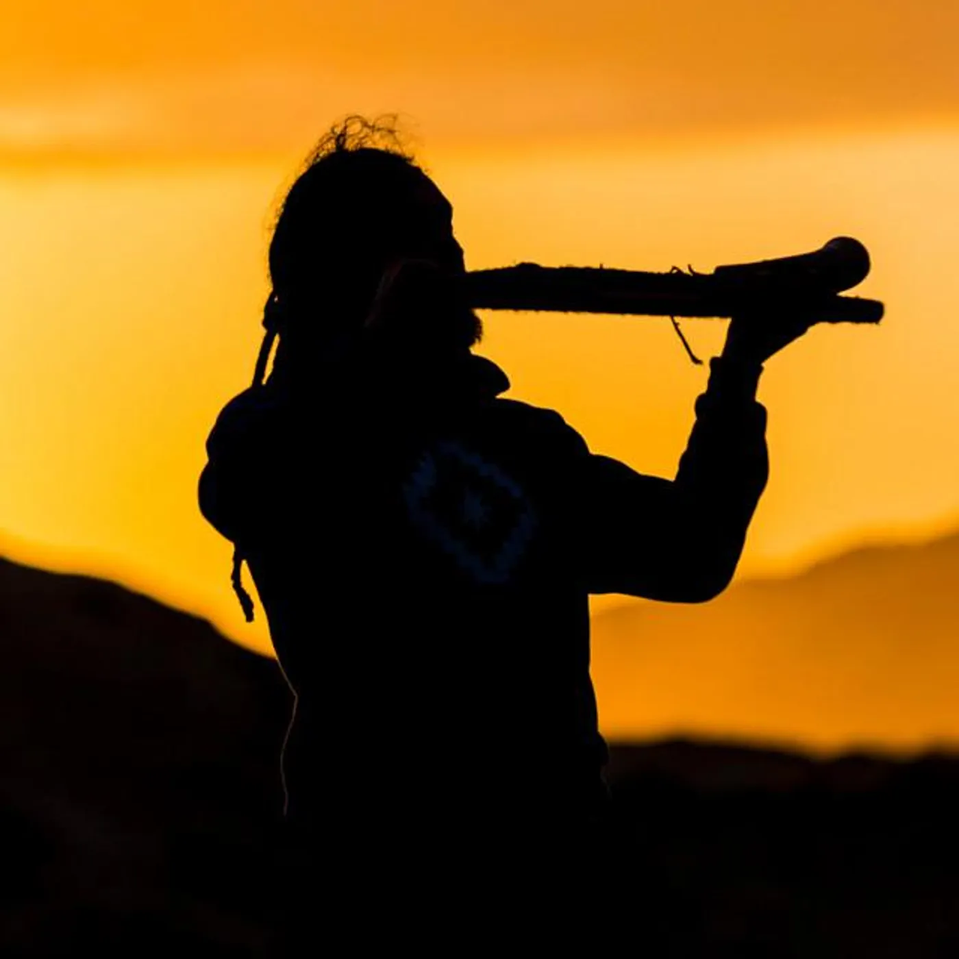 Pulso Natural Brand Page